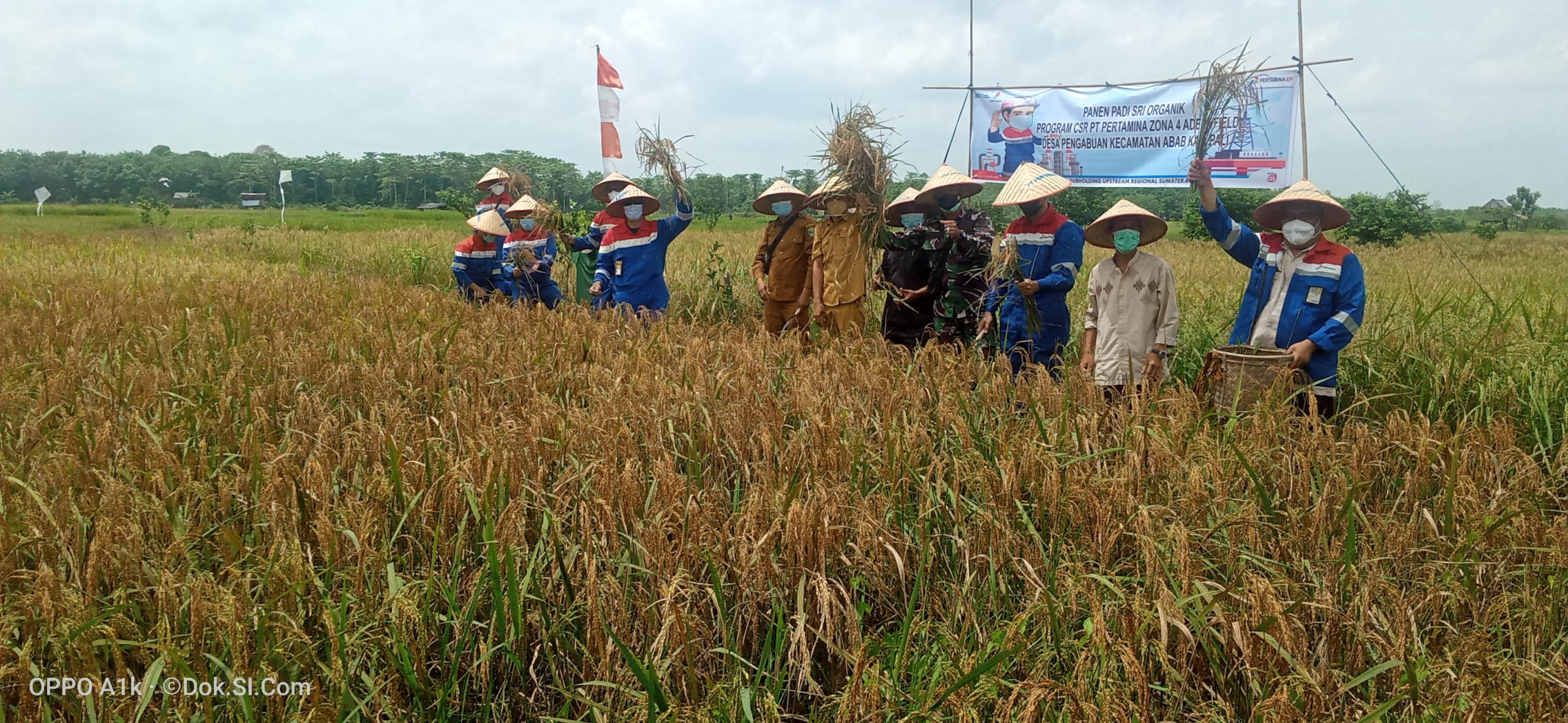 Petani Binaan Pertamina Hulu Rokan Region 1 Zona 4 Adera Field Adakan ...