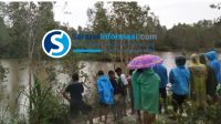 Lagi-lagi Seorang Warga Diterkam Buaya di Sungai Cerucuk