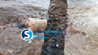 Korban Tenggelam dari Perahu di Pulau Kalimambang Ditemukan Terdampar Tepi Pantai Aik Kisik Seliu