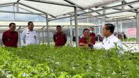 Lapas Banyuasin Panen Bersama Kakanwil Ditjenpas Sumsel, Dukung Program Akselerasi Menteri