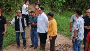 Diguyur Hujan, Tak Surutkan Langkah Iwan Tuaji Tinjau Lahan Petani PALI