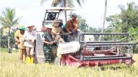 Banyuasin 3 Besar Penghasil Gabah Nasional Optimis Optimalkan Swasembada Pangan