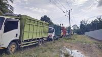 PT STE Angkat Ekonomi Warga Belimbing, Ratusan Penduduk Terlibat Kerja Bergilir