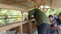Kades Air Limau Apresiasi Vaksinasi PMK dan Rabies