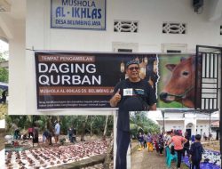 Musholla Al Ikhlas Desa Belimbing Jaya Sembelih 8 Ekor Sapi Kurban Hasil Tabungan Warga