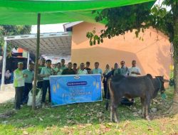 PT TeL Distribusikan Hewan Qurban ke 26 Desa Menjelang Idul Adha 1446 H