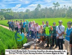 Camat Tanah Abang Hadiri Peresmian Smartfarm Academy Komoditi Padi, Sinergi PLN dan Petani Dorong Revolusi Pertanian Digital di PALI