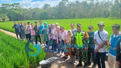 Camat Tanah Abang Hadiri Peresmian Smartfarm Academy Komoditi Padi, Sinergi PLN dan Petani Dorong Revolusi Pertanian Digital di PALI