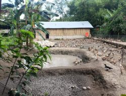 Bukit Asam Dorong Transformasi Ekonomi Warga Ring 1 Lewat Budidaya Itik Petelur