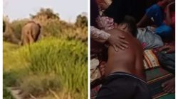 Teror Gajah Liar Di Air Sugihan: Luka, Rumah Rusak, Dan Penantian Solusi Yang Tak Kunjung Datang