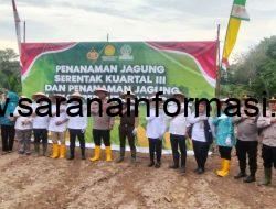 Camat Tanah Abang Apresiasi Penanaman Jagung Serentak di PALI