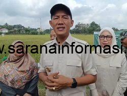 PALI Mandiri Pangan, Ikhtiar Meretas Ketergantungan, Menjadi Daerah Mandiri Pangan