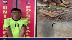 Polsek Talang Ubi Ringkus Pencuri Sawit, Satu Buron