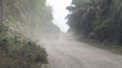 Prihatin Rakyat Rambang Niru Nikmati Jalan Berdebu Puluhan Tahun Indonesia Merdeka