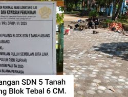 Paving Block SDN 5 Tanah Abang PALI Tebal 6 CM. Pemasangan Bergelombang