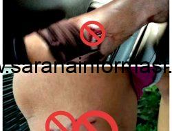 Warga Tanah Abang Resah Serangan Anjing Liar, Pemerintah diharapkan Cepat Tanggap