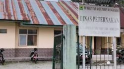 Dinas Peternakan Manggarai Terus Tunjukan Komitmennya Dalam Memajukan Sektor Lokal