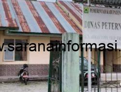 Dinas Peternakan Manggarai Terus Tunjukan Komitmennya Dalam Memajukan Sektor Lokal