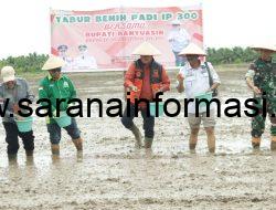 Tabur Benih Bupati Banyuasin Optimis Banyuasin Swasembada Pangan Nomor 1 Di Indonesia
