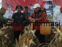 Alhamdulillah Panen Jagung Air Salek Meningkat Tinggi Diluar Target” Ungkap Bupati Banyuasin 
