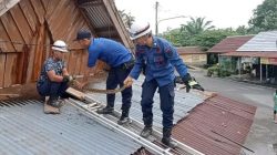 Ular Piton Gegerkan Warga Terminal Pendopo, Damkar PALI Sigap Evakuasi
