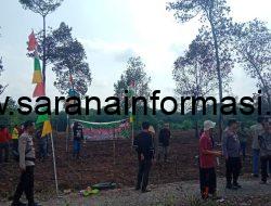 Bumi Ayu. Desa Ketiga Di Kecamatan Tanah Abang Gencarkan Program Ketahanan Pangan Tanam Jagung