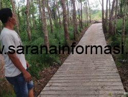 Kades Redi Purmansya Realisasikan Dana Desa 2025 Bangun Jalan Setapak 540 Meter Desa Muara Niru