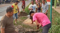 Sambut HUT RI ke-80, Pemdes Simpang Tais Bersihkan Lingkungan Desa