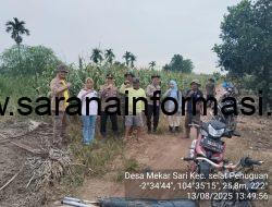Kapolsek Pulau Rimau Pimpin Langsung Kegiatan Monitoring Tanaman Jagung  