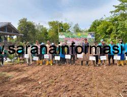 Dorong Ketahanan Pangan, Polsek Tanah Abang Dampingi Penanaman Jagung di Desa Curup
