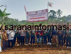 Jagung Hibrida Jadi Simbol Kebangkitan: HMTN-MP Dorong Ketahanan Pangan dari Sukabumi