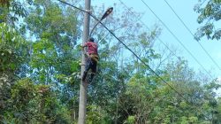 UD Merpati Bantu Lampu Jalan 16 unit Warga Melintas Terbantu 