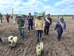 Perkuat Ketahanan Pangan Pemkab Banyuasin Pangdam II/ Sriwijaya Tanam Padi