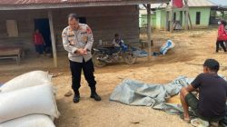 Polres PALI Monitoring Ketahanan Pangan Jagung Desa Benakat Minyak
