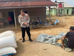 Polres PALI Monitoring Ketahanan Pangan Jagung Desa Benakat Minyak