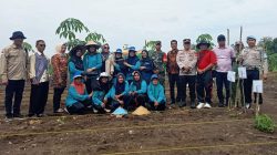 Dinas PMD PALI Hadiri Penanaman Jagung Perdana di Desa Harapan Jaya, Dorong Transparansi Dana Desa