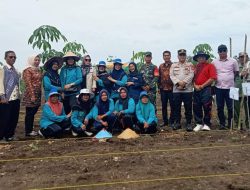 Polri Kawal Penanaman Jagung Perdana di Desa Harapan Jaya, Dorong Transparansi Dana Desa