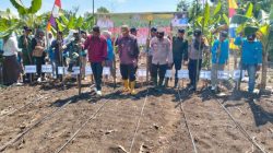 Camat Tanah Abang Ajak Desa Kawal Program Ketahanan Pangan Lewat Penanaman Jagung Perdana