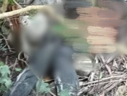 Mayat yang Ditemukan di Satar Mese Diduga Meninggal Tidak Wajar, dan Dalam Kondisi Hamil