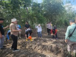 Polsek Penukal Abab Kawal Penanaman Jagung di Desa Air Itam