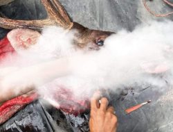 Pengurus Perbakin Rambang Niru Angkat Bicara Menepis Isu Dugaan Perburuan Hewan Langka Dilindungi 