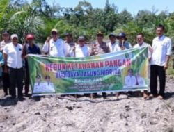 Polsek Penukal Utara dan Pemerintah Desa Gelar Penanaman Jagung di Lubuk Tampui