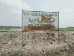 Misteri Limbah PT GBS Terkuak: LSM EMAB Bongkar Dugaan Pencemaran Puluhan Tahun di Abab