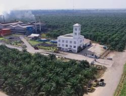 Ironi PT GBS: Pekerja Pabrik Bermesin Dipindah Jadi Tukang Muat, Kebijakan Dinilai Tak Manusiawi