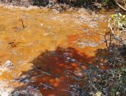 Pencemaran Lingkungan Oleh Perusahaan Migas Penegakan Hukum Ditantang Tegas