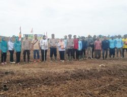 Dinas PMD PALI Dukung Penanaman Jagung Hibrida di Desa Semangus, Dorong Kemandirian Pangan Desa