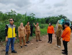 Wabup Netta Tinjau Jalan Desa Sumber Mekar Mukti Kecamatan Tanjung Lago
