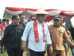 Bupati Banyuasin: Panen Perdana, Pulau Parang Miliki Banyak Potensi Selain Padi