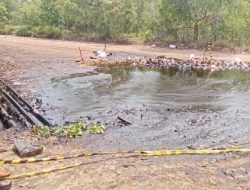 Minyak Bocor, Alam Menjerit. Pertamina EP Adera Didesak Bertanggung Jawab!