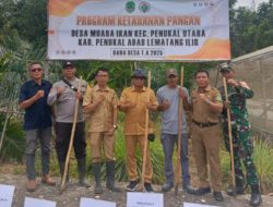 Dinas PMD PALI Dukung Ketahanan Pangan Nasional: Polsek Penukal Utara dan Desa Muara Ikan Gelar Penanaman Jagung Bersama